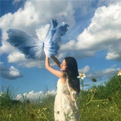 雏凤凌空