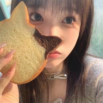 南方的野兽